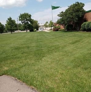 Meet your Posher, Pedro